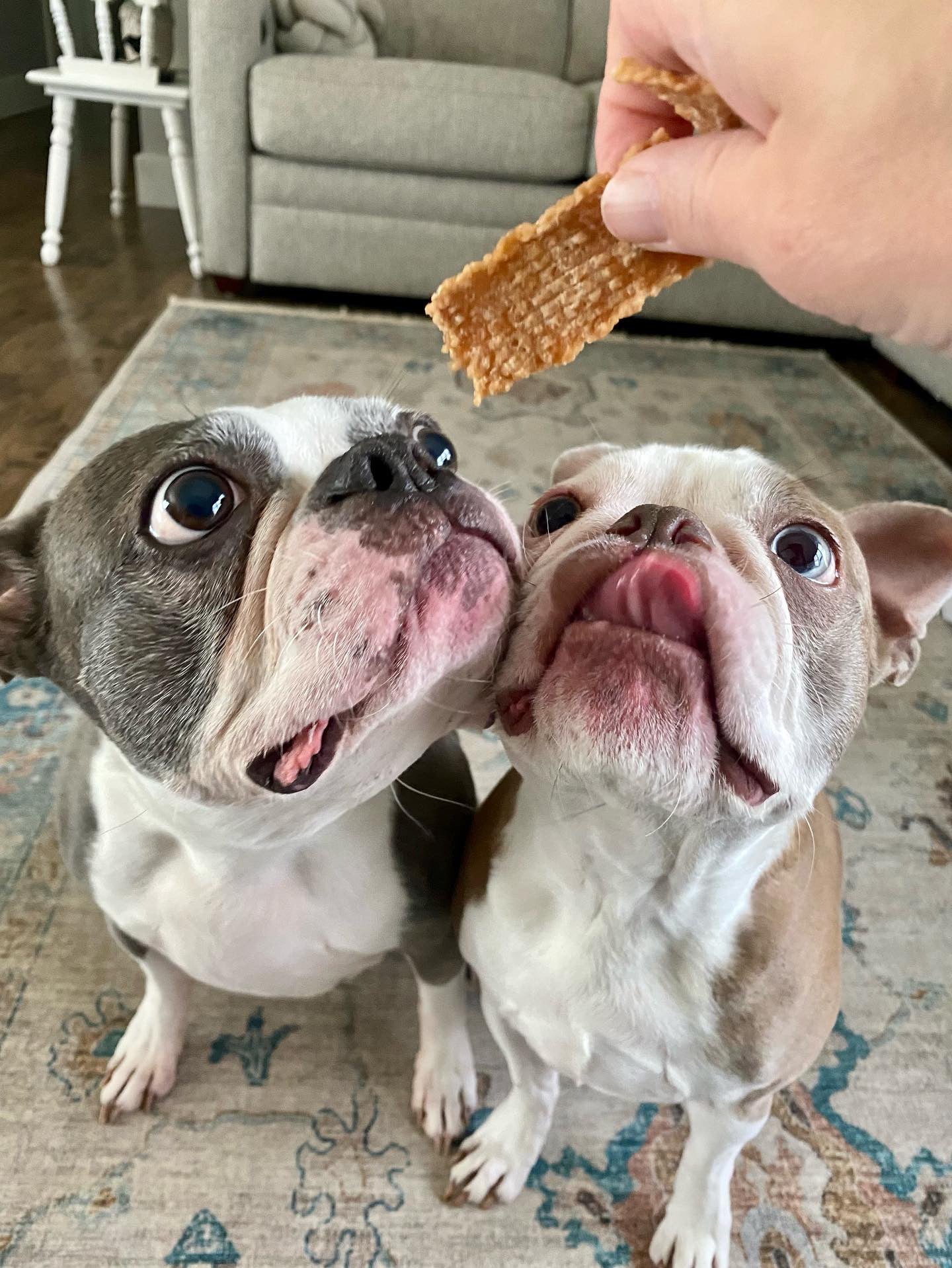 Chicken Break Apart Treats