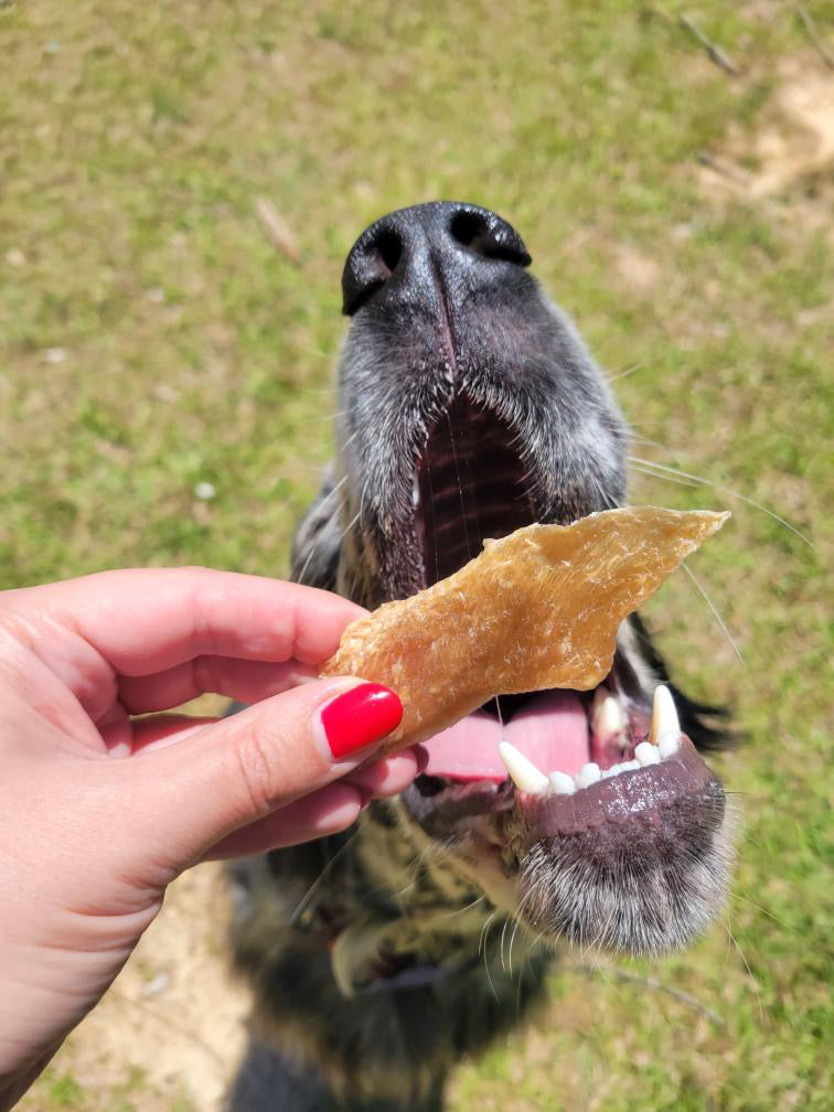 Chicken Jerky Treats