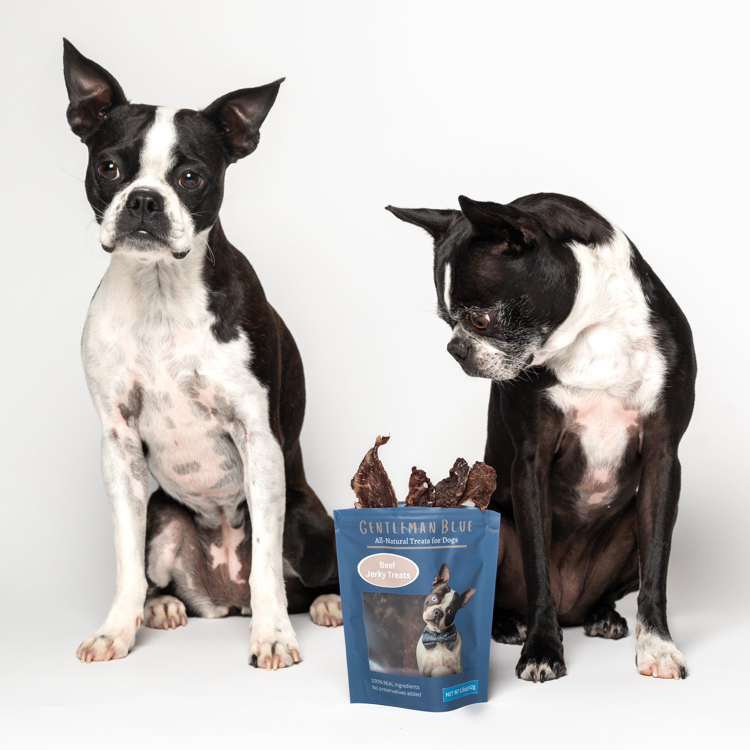 Best dog treats shop for boston terriers