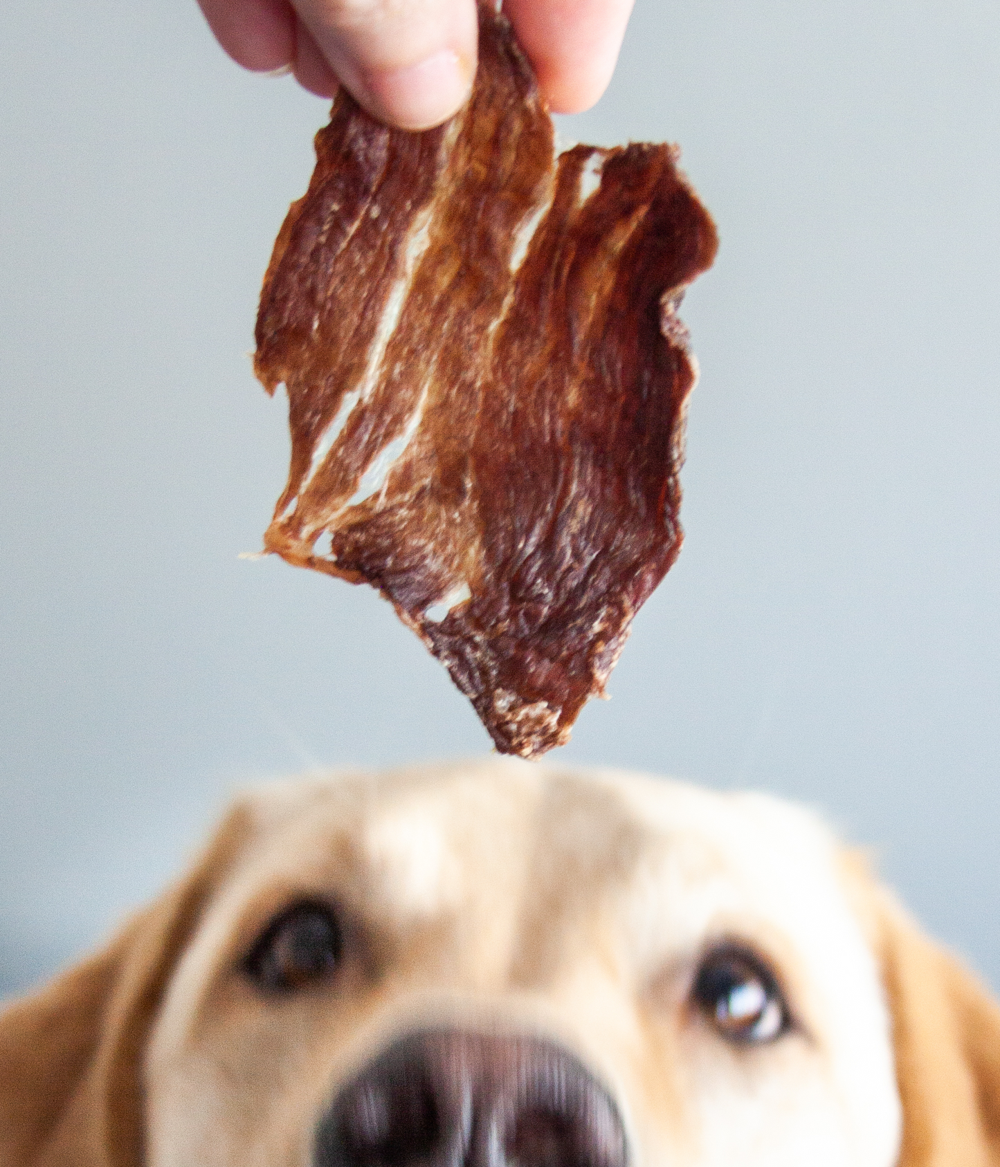 Beef Jerky Treats