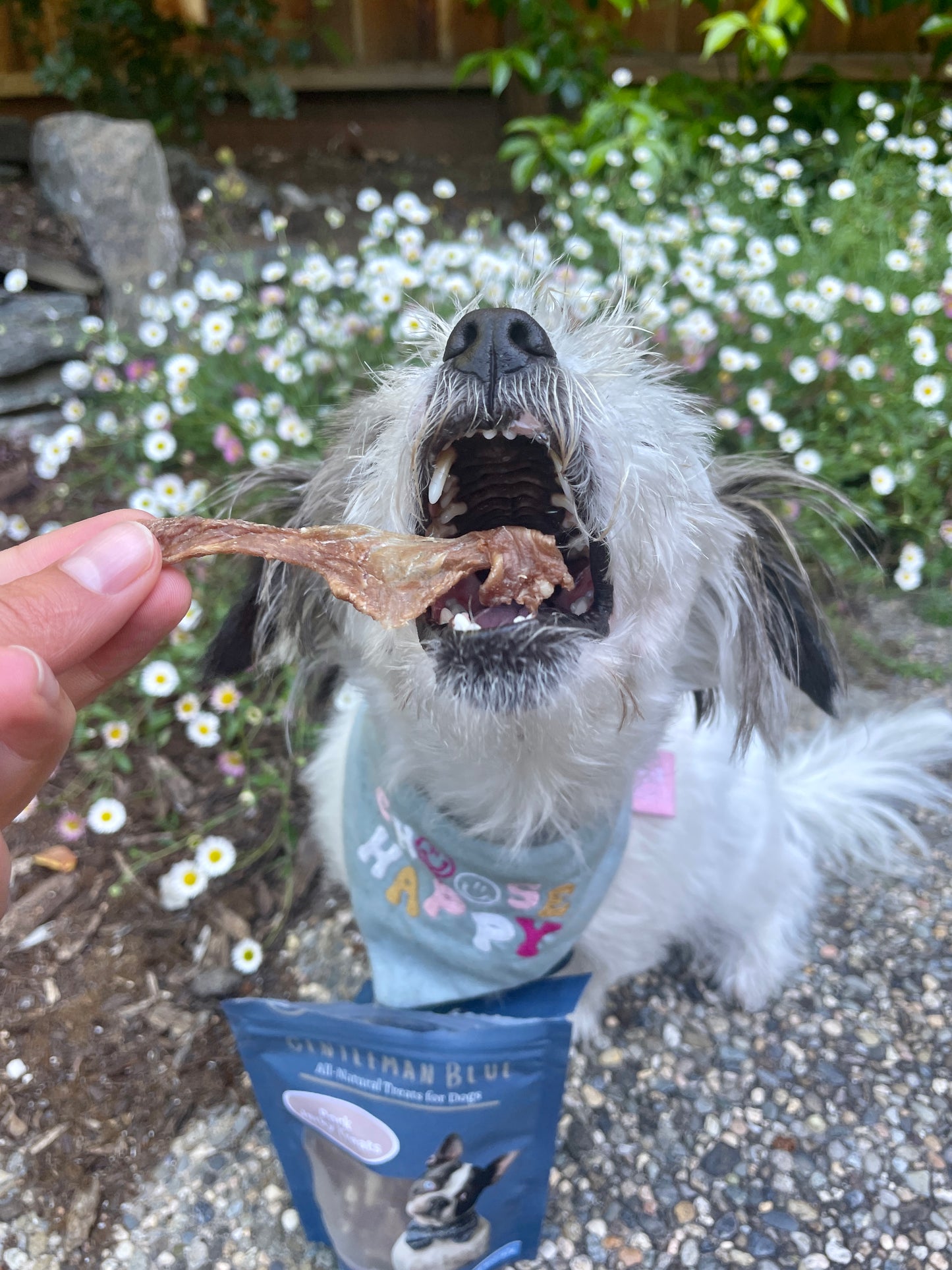 Pork Jerky Treats